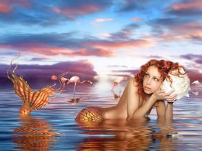 ������� ������������ ���� � ������� ��������